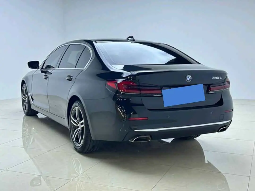 BMW 5 Series 2023 — ფოტო 8/16