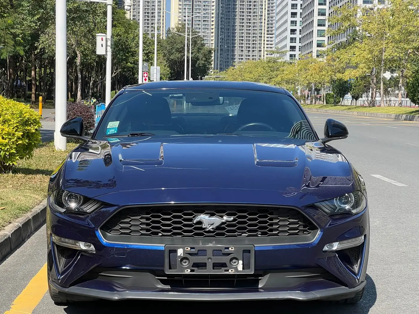 Ford Mustang 2020 — Photo 2/17