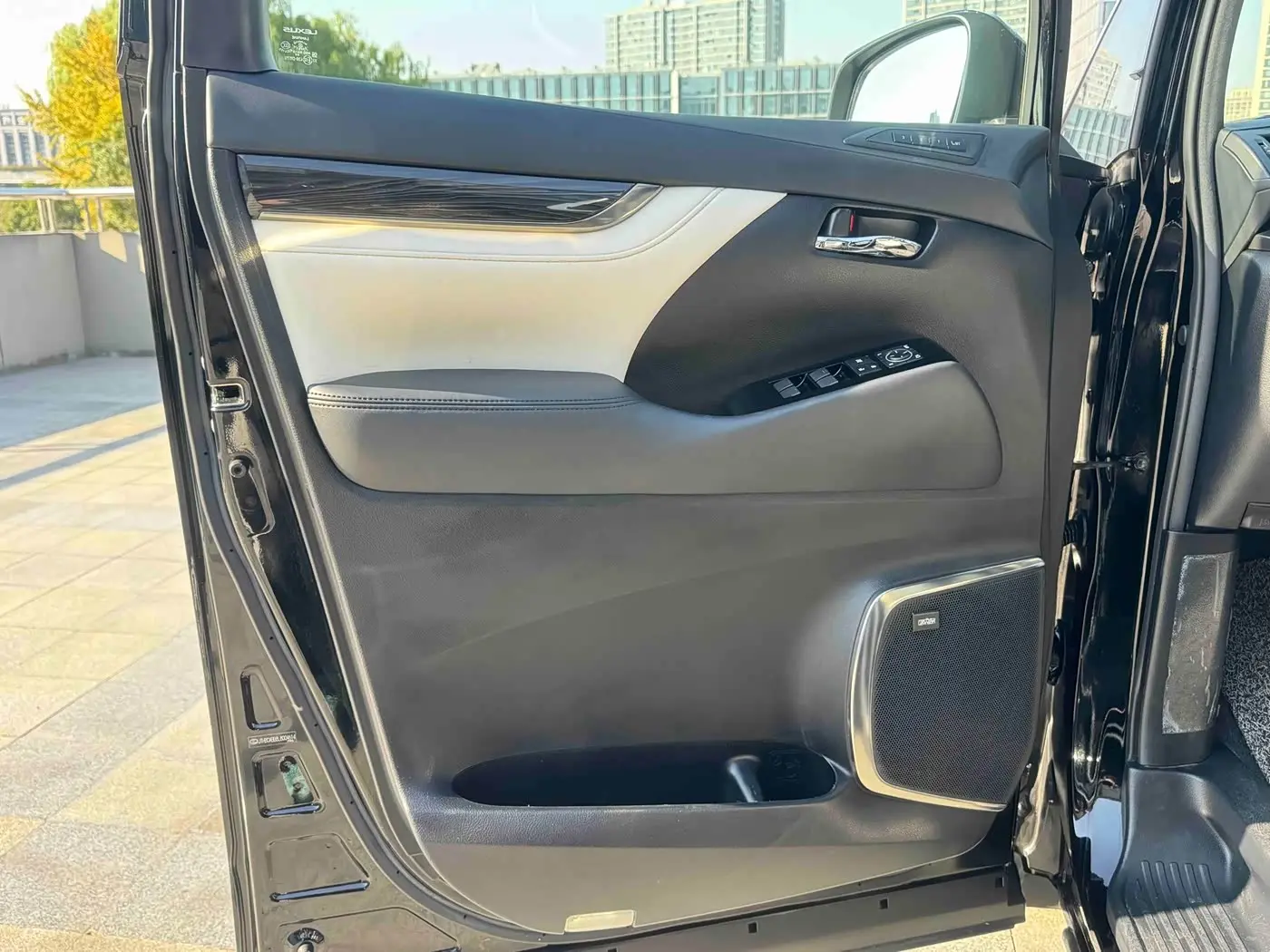 Lexus LM 2021 — Photo 9/20