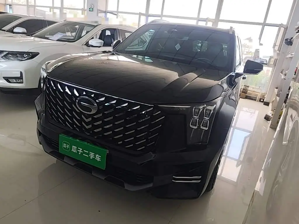 GAC Trumpchi Trumpchi GS8, 2024