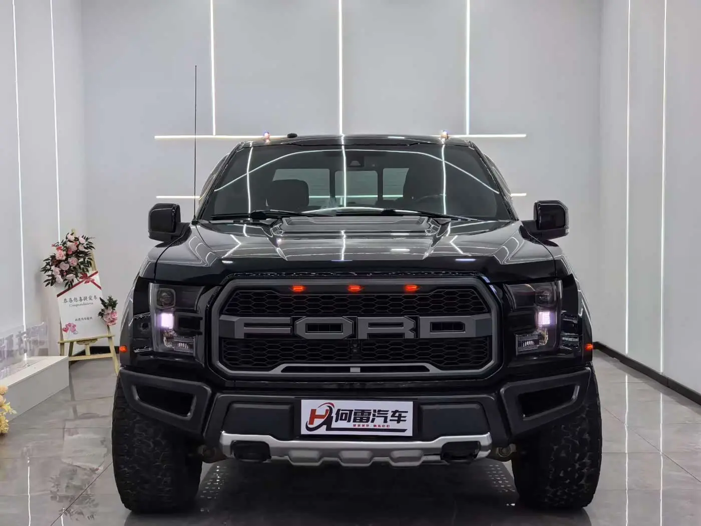 Ford F-150 Raptor 2019 — Photo 2/9
