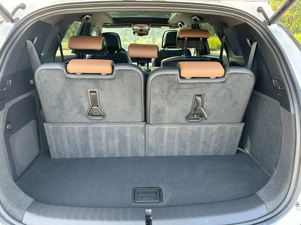 BYD Tang New Energy 2022 — ფოტო 8/20