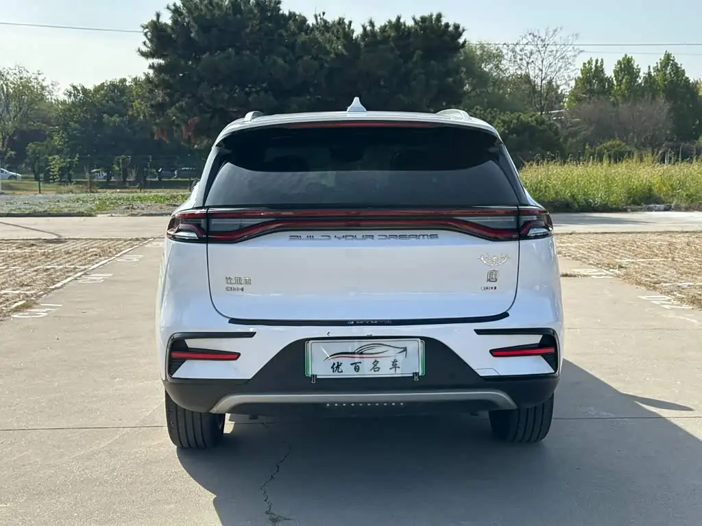 BYD Tang New Energy 2022 — ფოტო 5/20