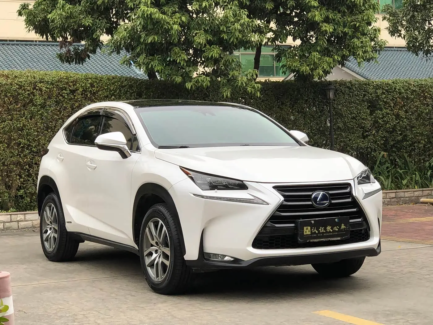 Lexus NX 2016 — Şəkil 3/20