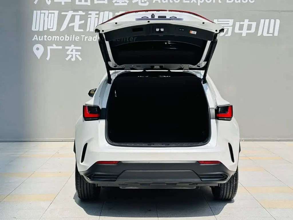Lexus NX 2024 — Фото 16/20
