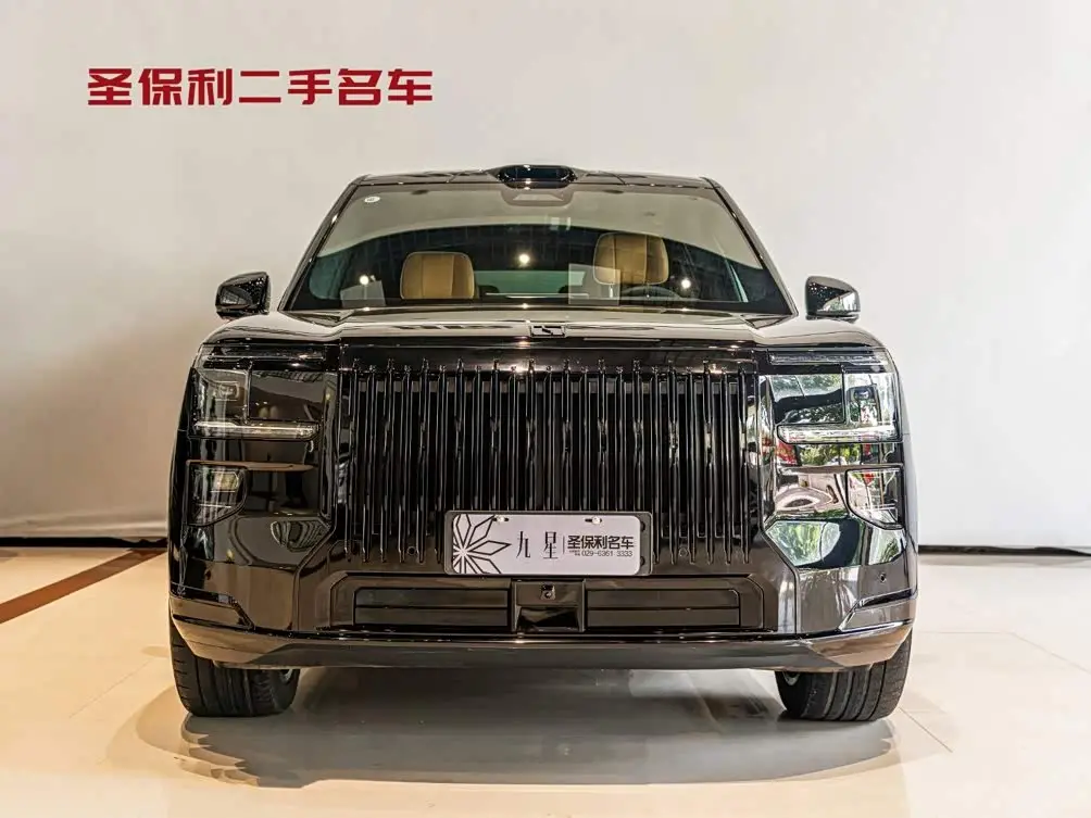 ZEEKR 9X 2025 — ფოტო 2/20