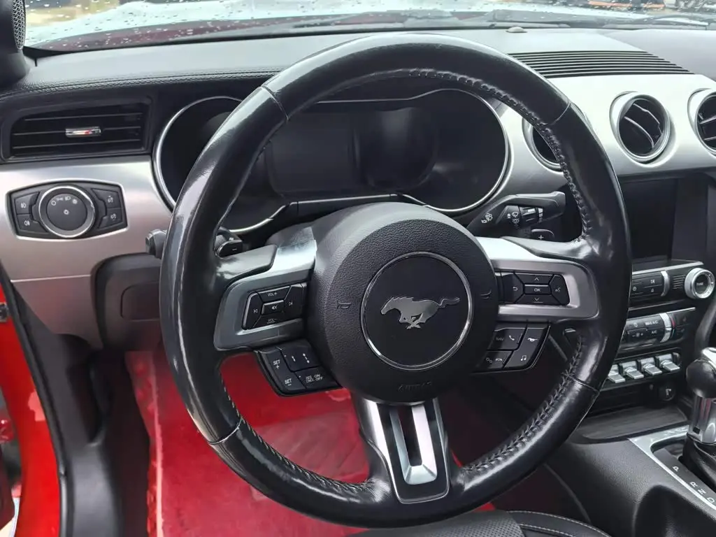 Ford Mustang 2019 — Photo 9/14