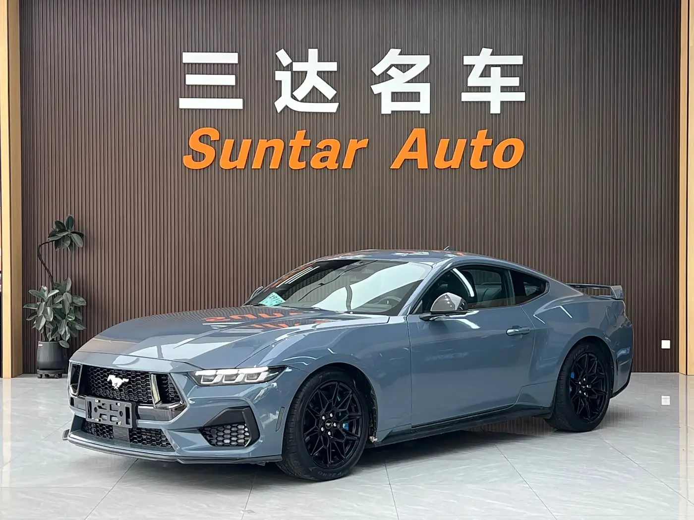 Ford Mustang, 2024