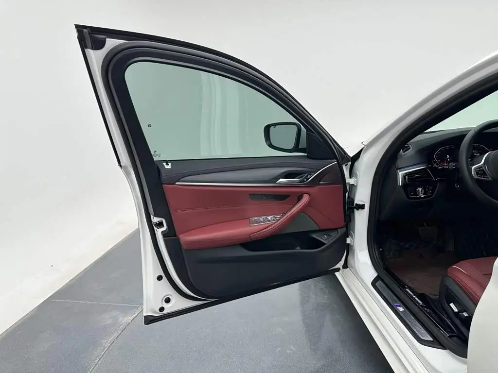 BMW 5 Series 2021 — Şəkil 19/20