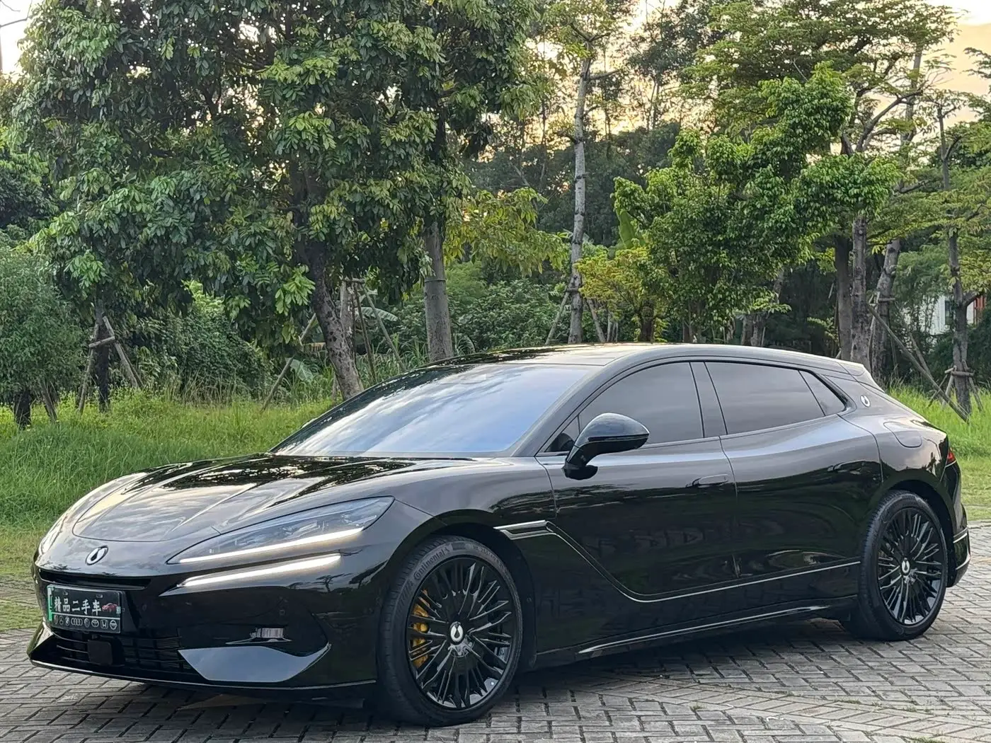 Denza Z9GT, 2025
