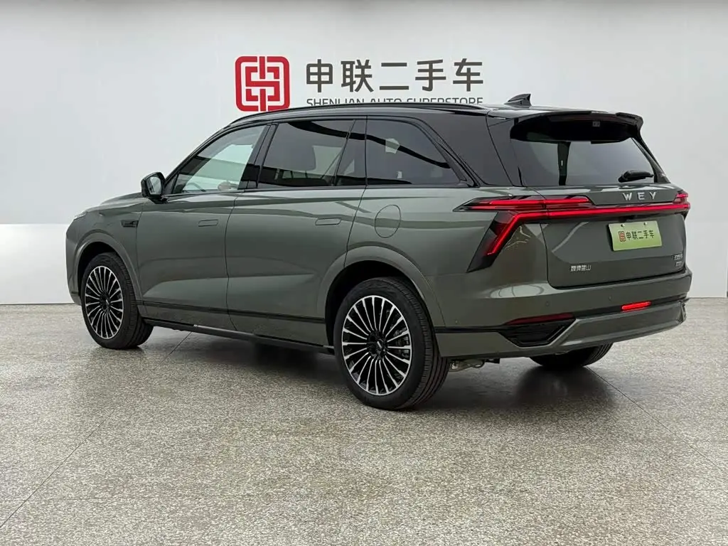 WEY Lanshan 2025 — Photo 3/17