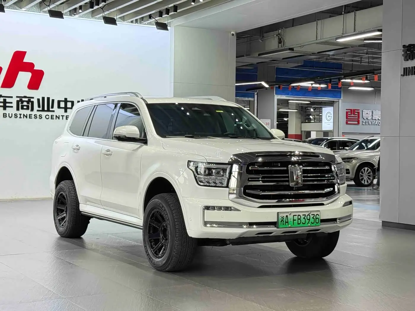 Tank 500 EV 2023 — ფოტო 3/14