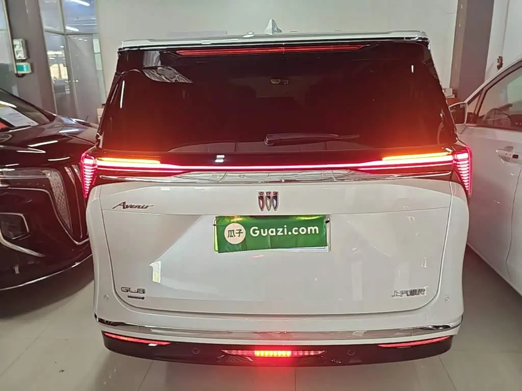 Buick GL8 New Energy 2024 — Photo 6/20