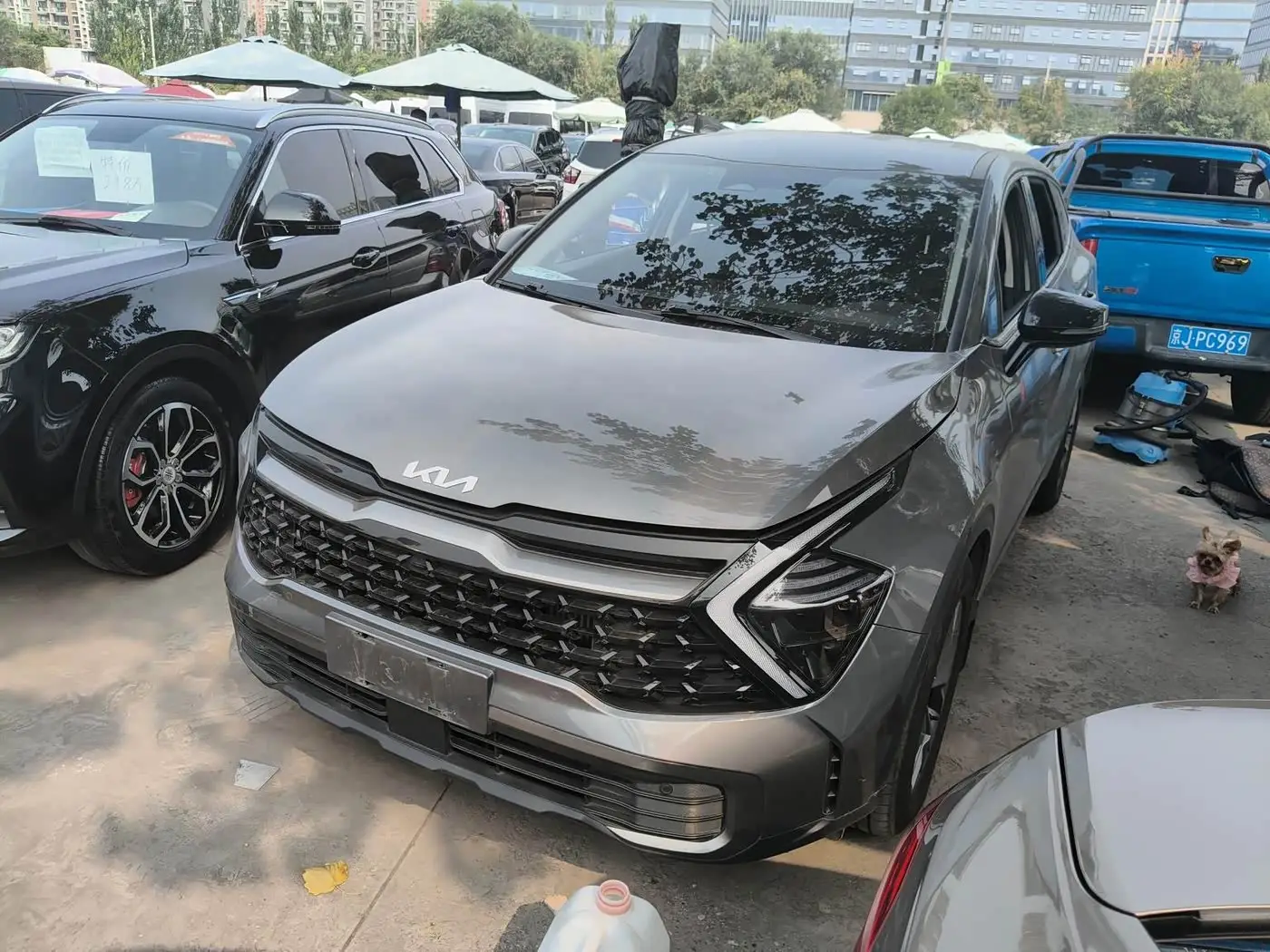 Kia Sportage, 2024