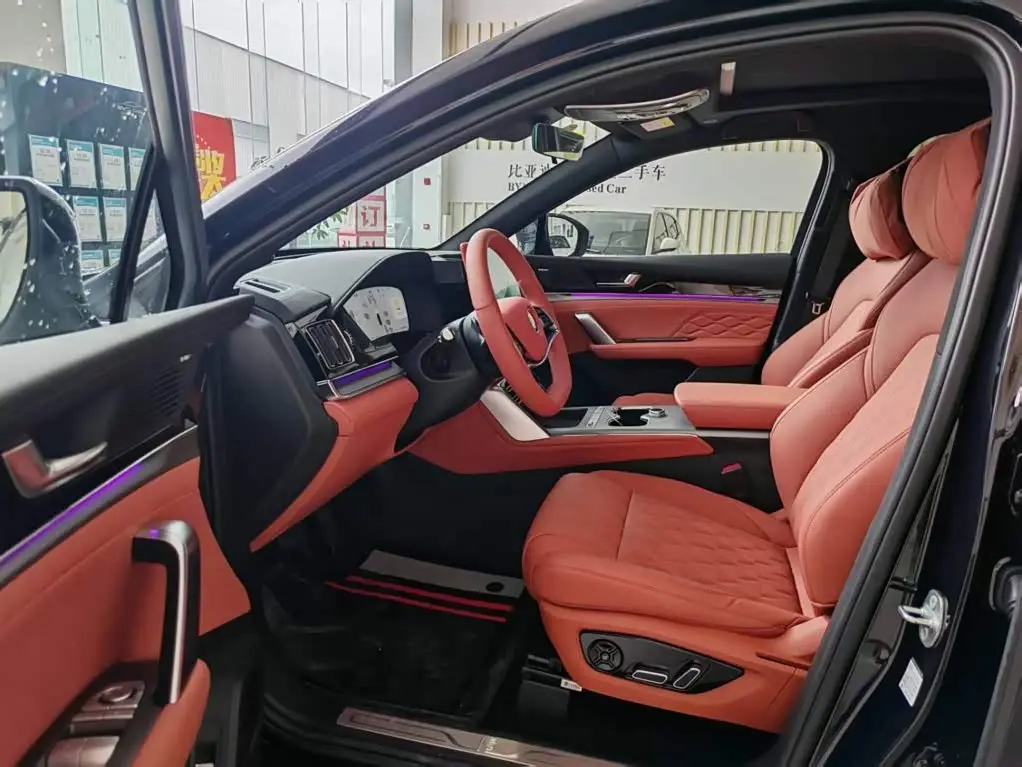 BYD Tang New Energy 2025 — Photo 11/15