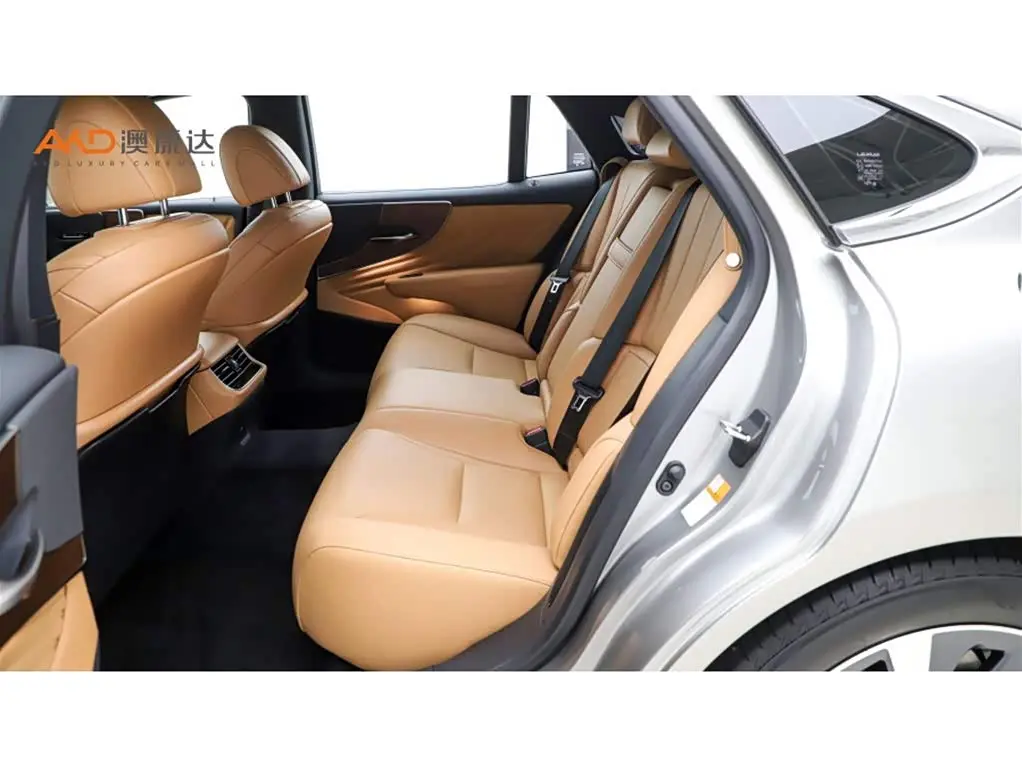 Lexus LS 2021 — Photo 7/10
