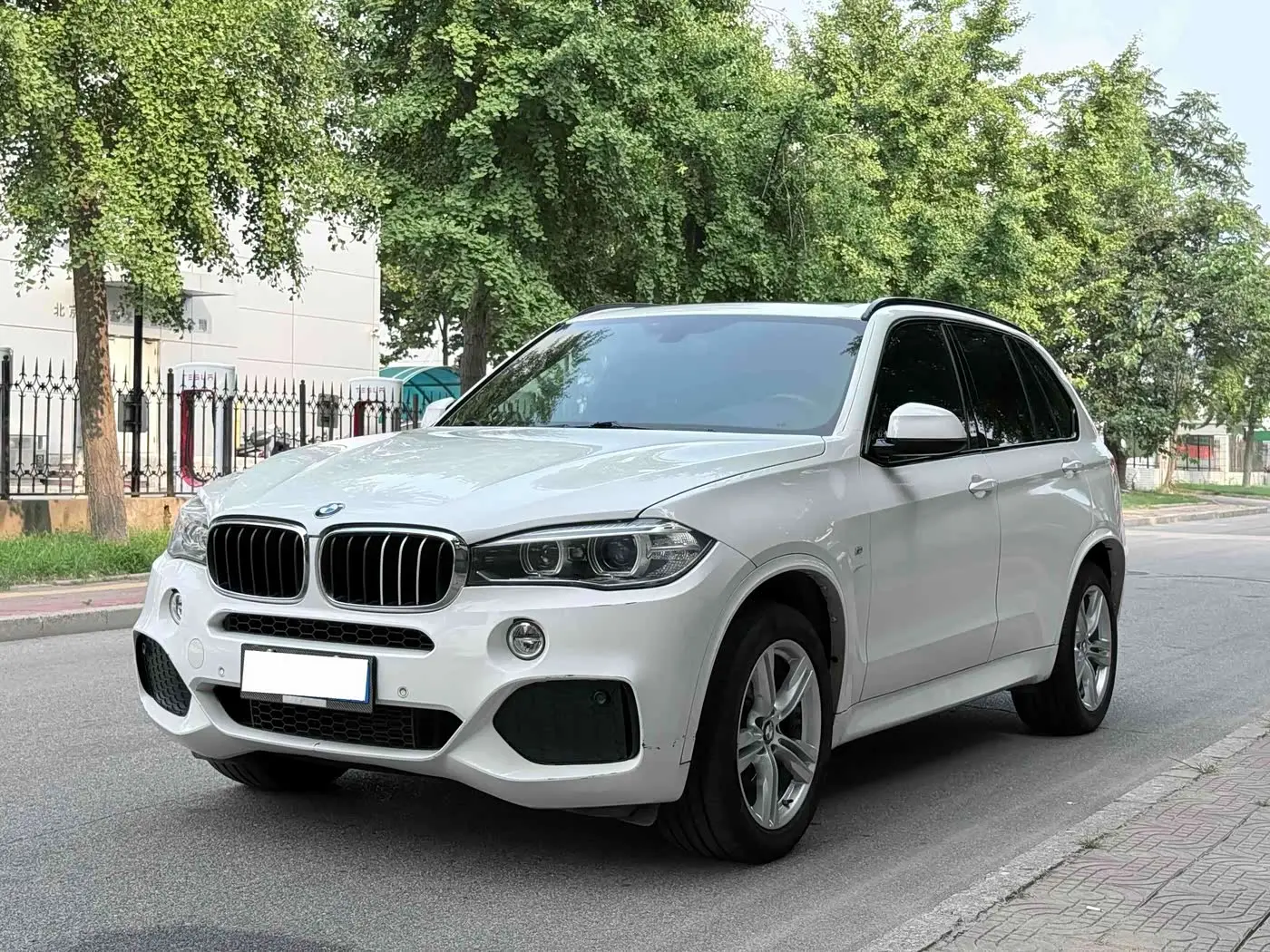 BMW X5 2014 — Фото 1/20