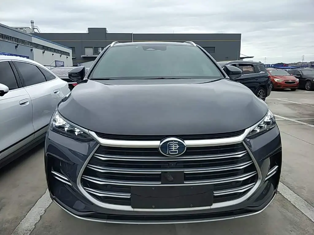 BYD Tang New Energy 2022 — Photo 3/20