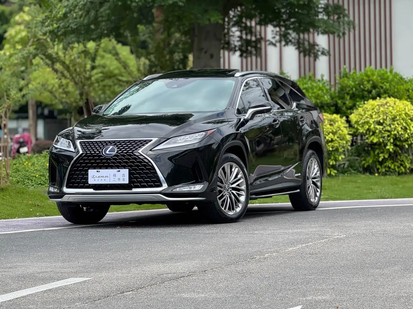 Lexus RX 2019 — Photo 1/20