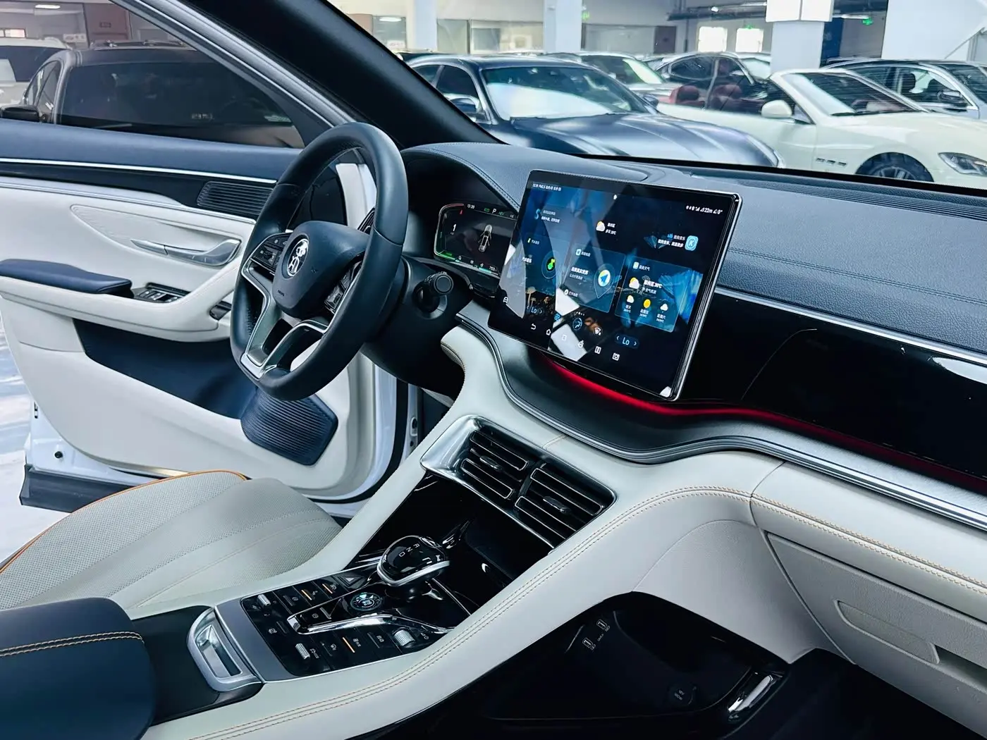 BYD Song PLUS PHEV 2023 — Photo 7/15