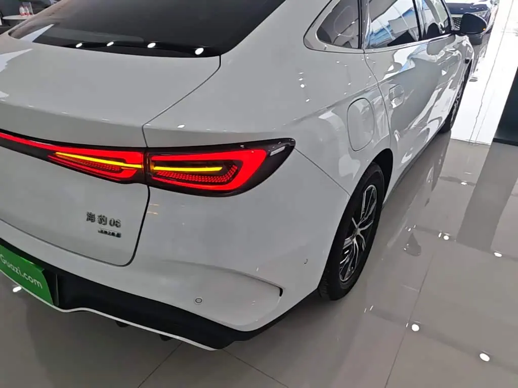 BYD Seal 06 New Energy 2025 — Photo 8/20