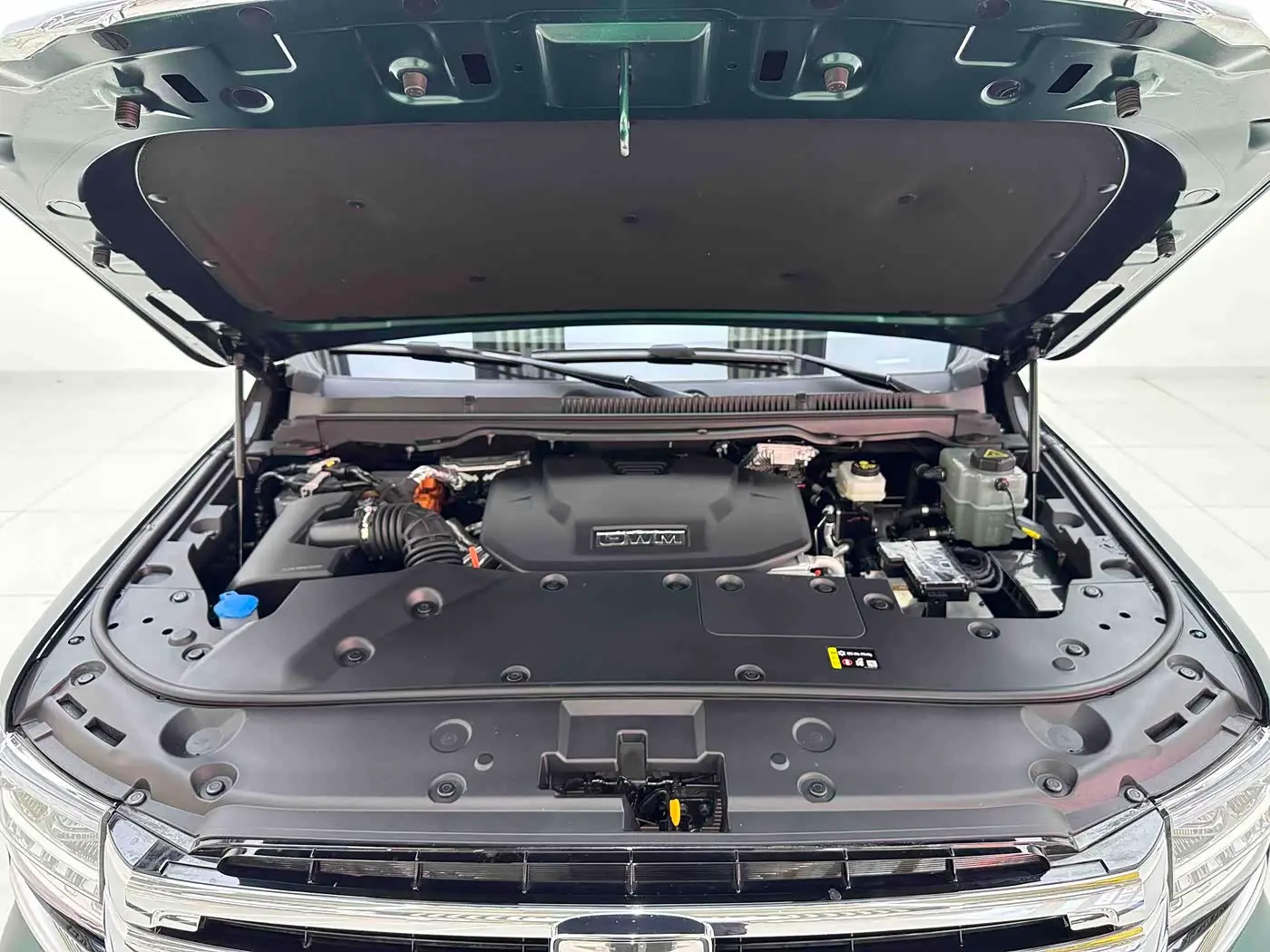 Tank 500 EV 2025 — ფოტო 8/11