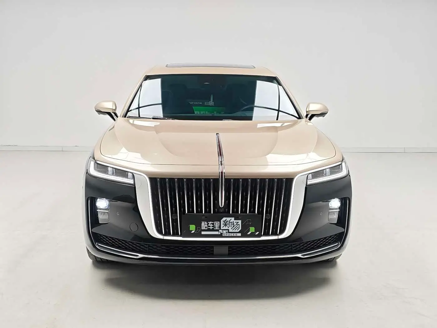 Hongqi H9 2023 — Photo 2/19
