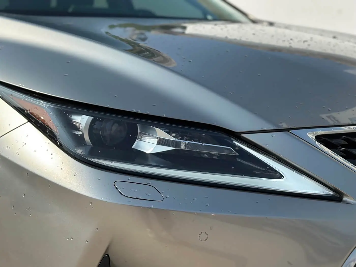 Lexus RX 2021 — Photo 4/20