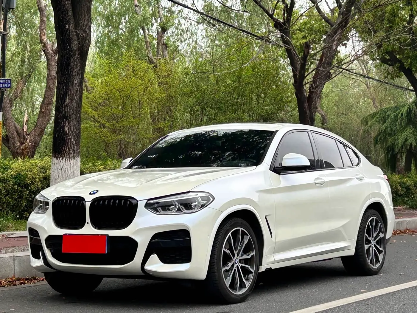 BMW X4 2021 — Фото 1/18
