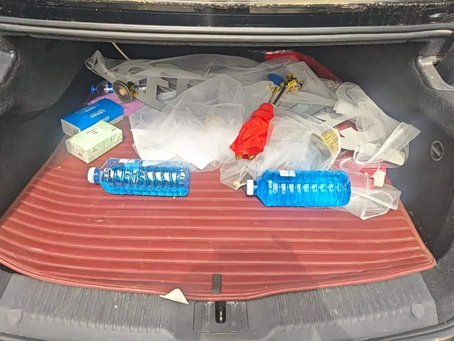 Hongqi H9 2020 — Photo 4/16