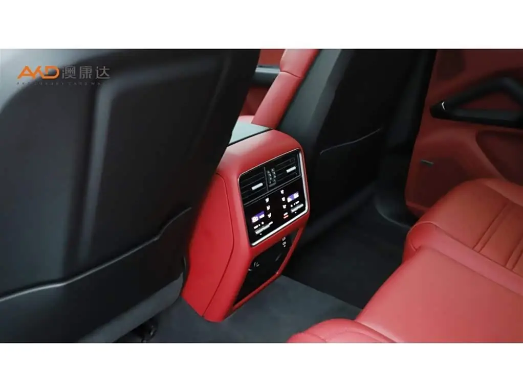 Porsche Cayenne 2023 — ფოტო 9/10