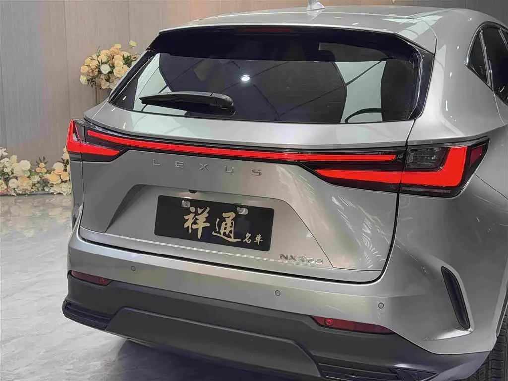 Lexus NX 2023 — Photo 18/20