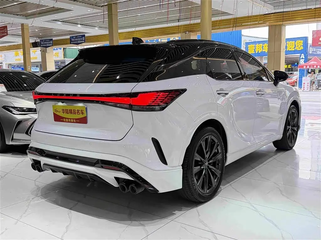 Lexus RX 2024 — Şəkil 6/20
