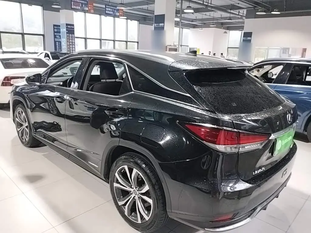 Lexus RX 2022 — Фото 5/20