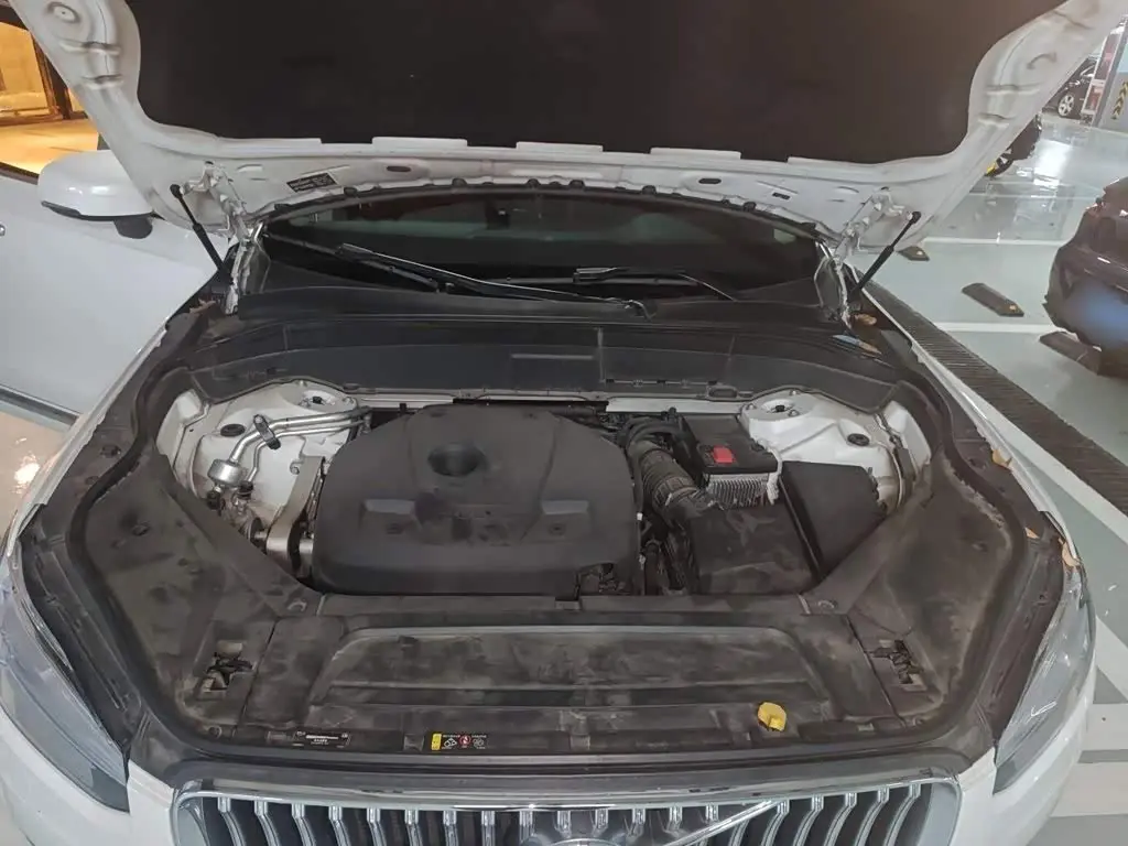 Volvo XC90 2019 — Photo 11/20