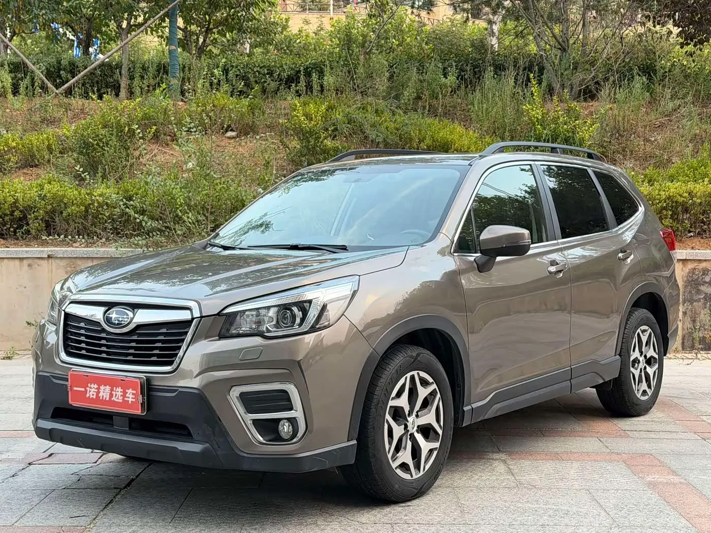 Subaru Forester 2019 — Фото 1/12