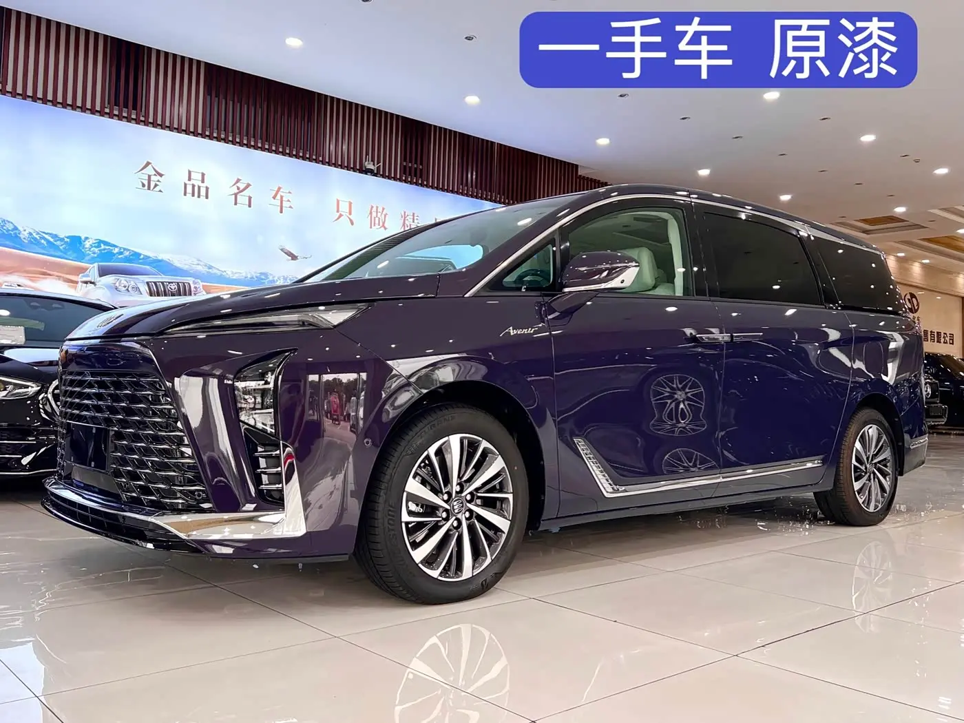 Buick GL8 New Energy 2025 — Photo 1/20