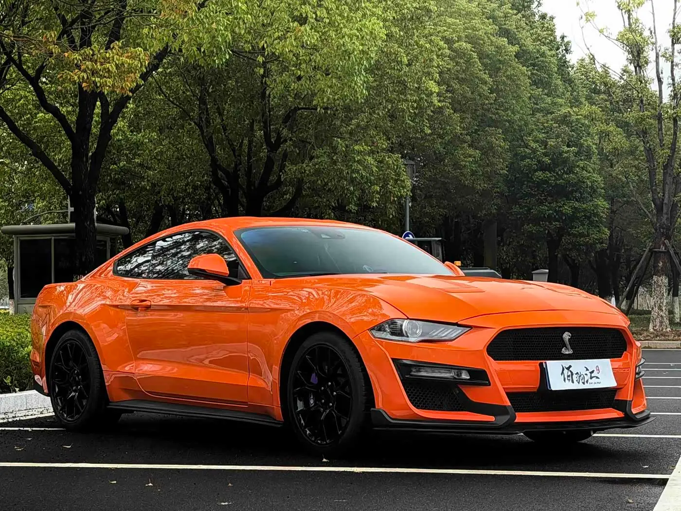 Ford Mustang 2020 — Фото 3/14