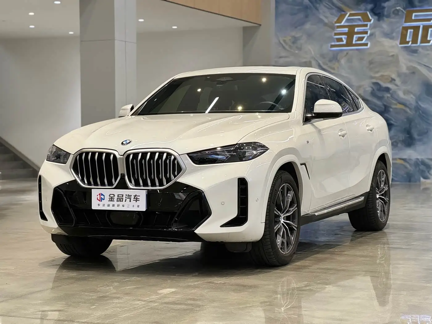 BMW X6, 2023