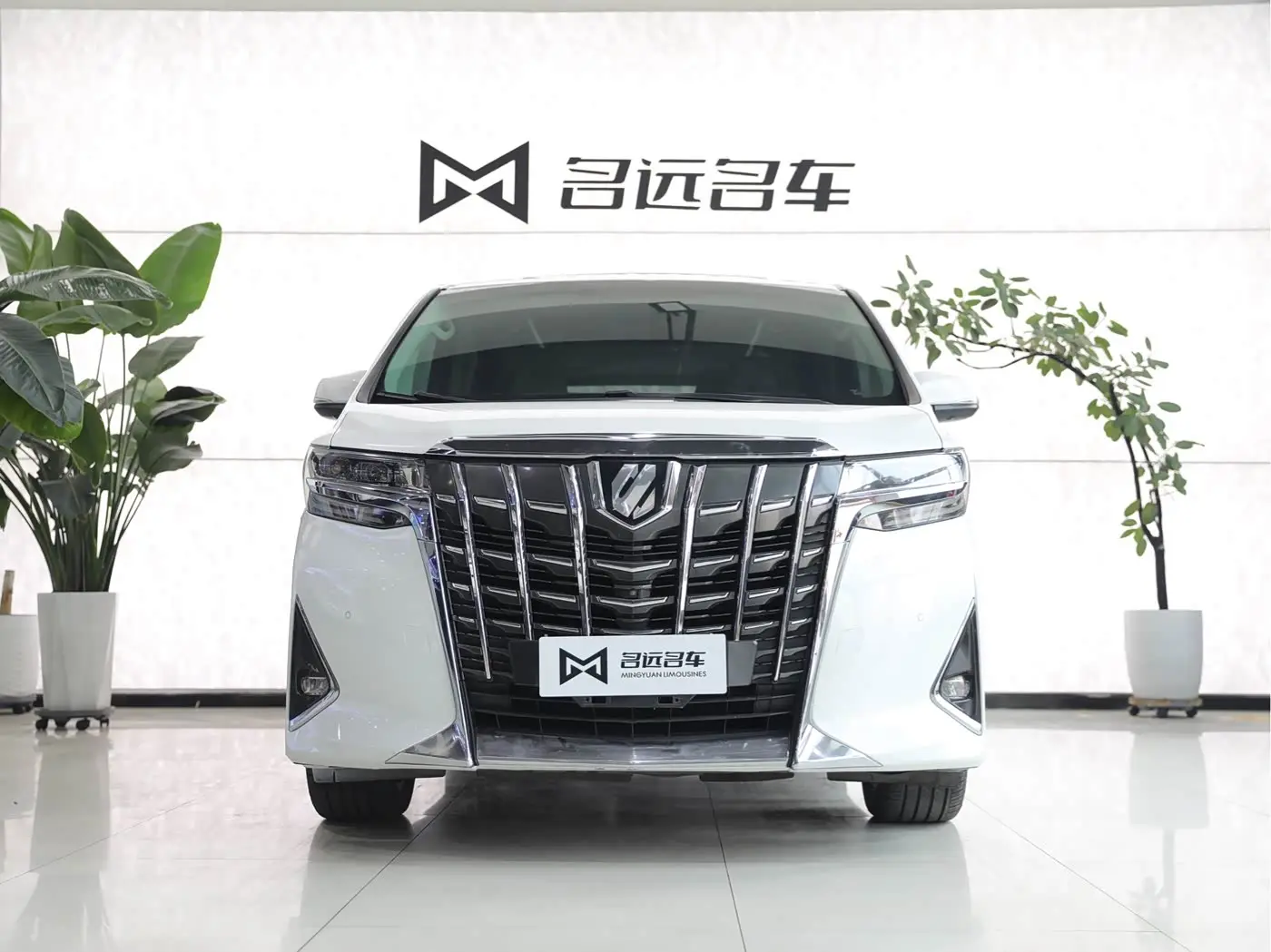 Toyota Alphard 2019 — Фото 2/17