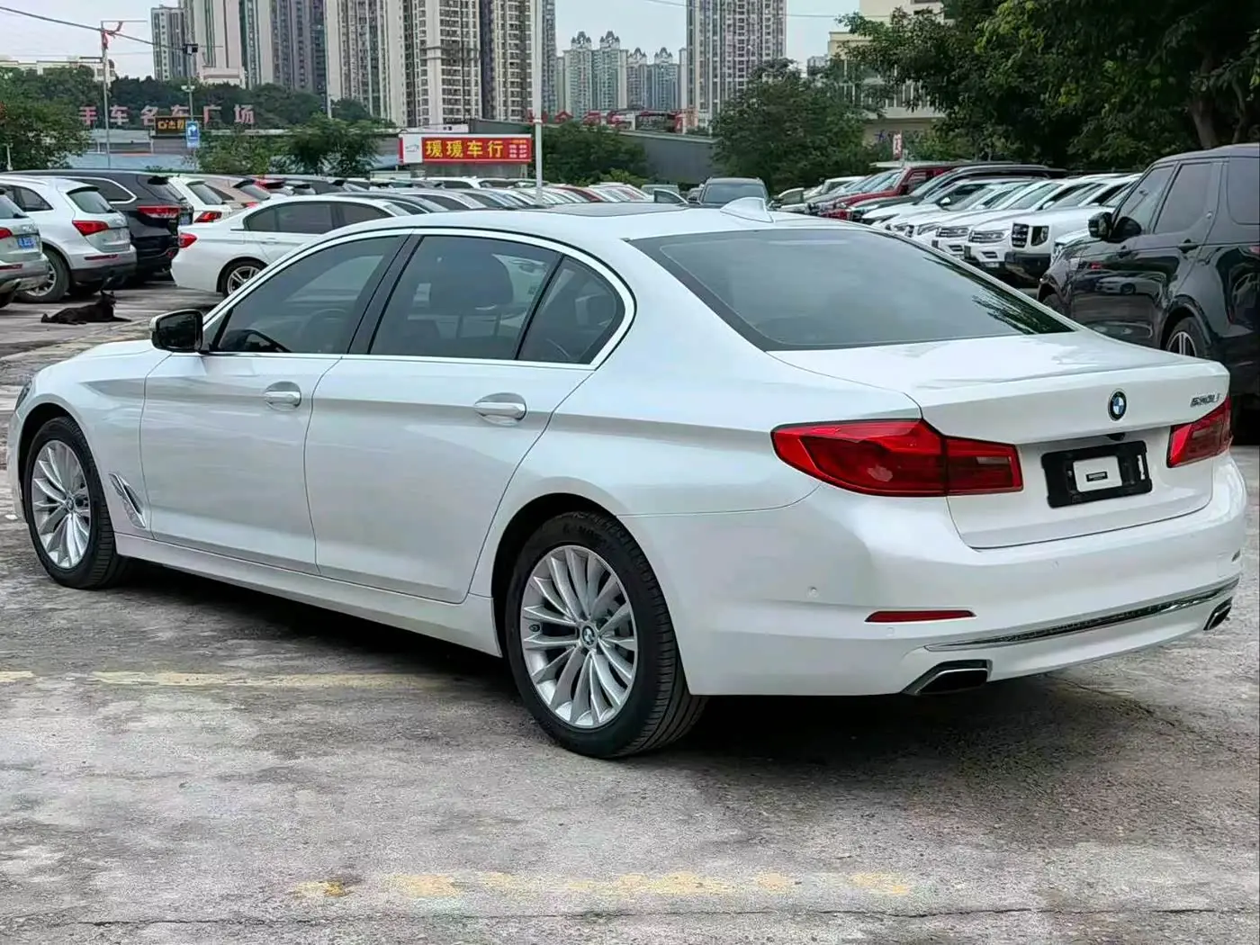 BMW 5 Series 2020 — Photo 5/9