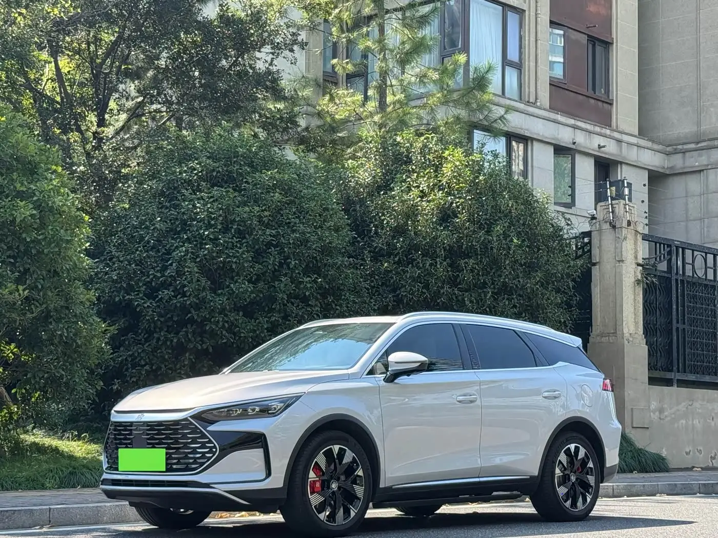 BYD Tang New Energy, 2024