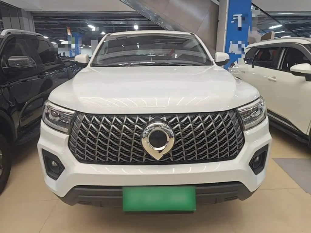 Great Wall Pao 2025 — Photo 3/20