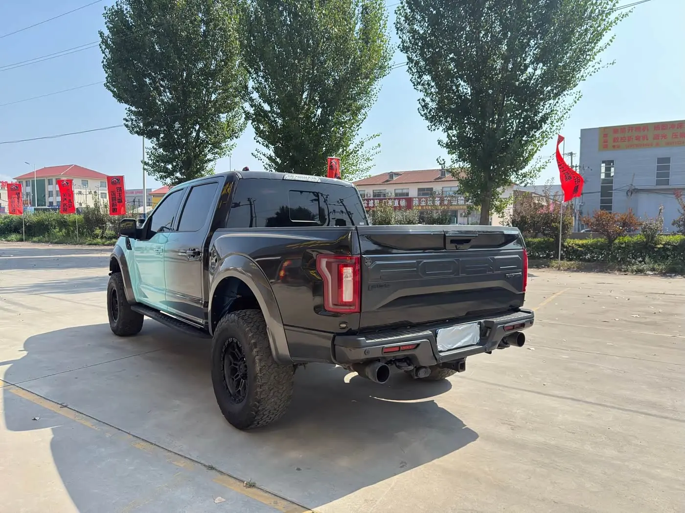 Ford F-150 Raptor 2018 — ფოტო 7/10