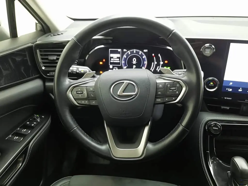 Lexus NX 2022 — Photo 11/20