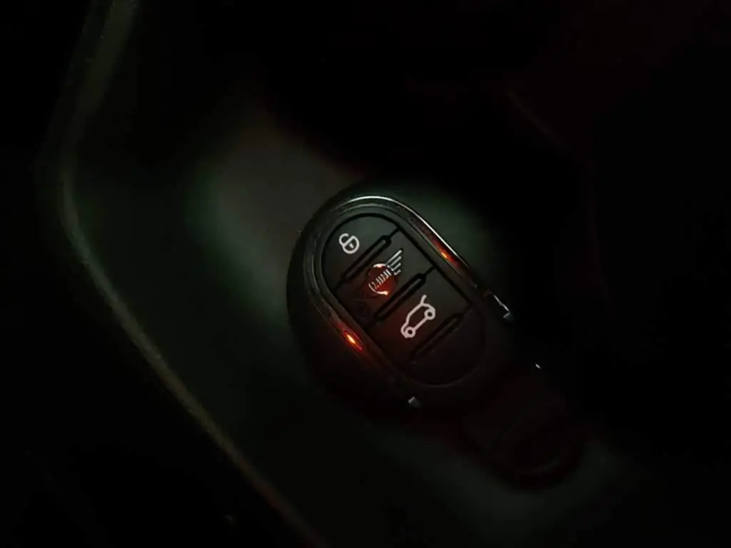 MINI MINI 2021 — Photo 9/20