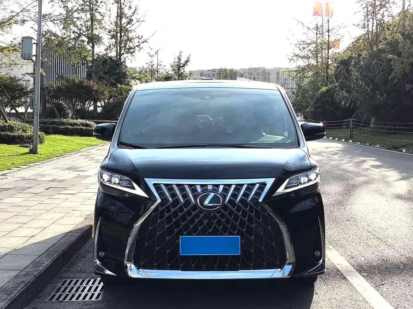 Lexus LM 2020 — Photo 2/9