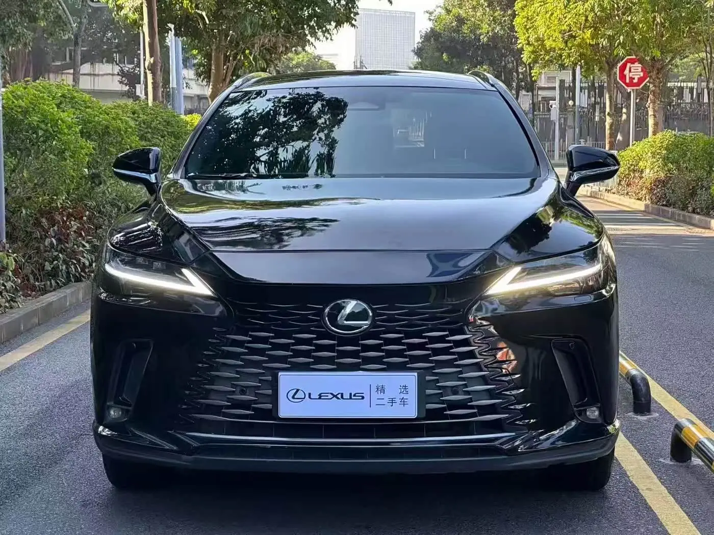 Lexus RX 2023 — Фото 2/9