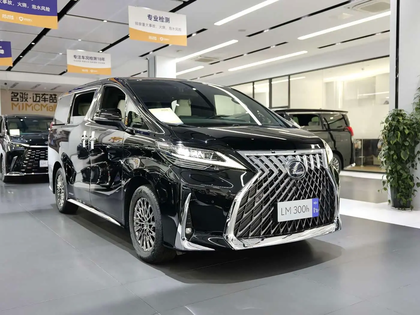 Lexus LM 2021 — Photo 4/19