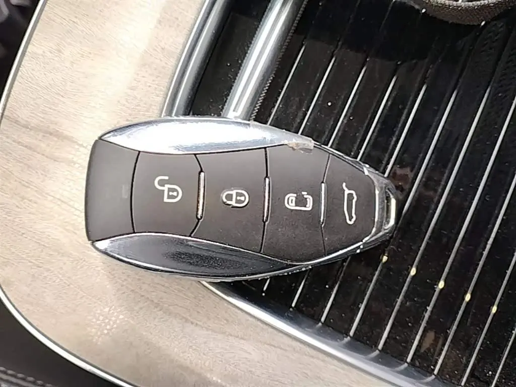 Hongqi HQ9 PHEV 2024 — Photo 9/20